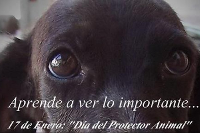 Imagen Noticia