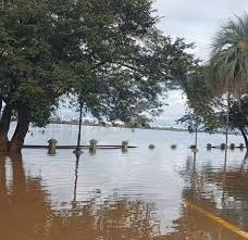 Imagen Noticia