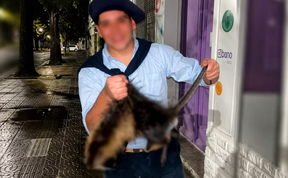 Foto