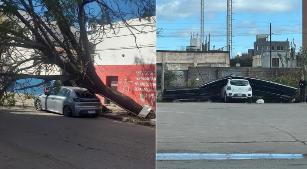 Imagen Noticia