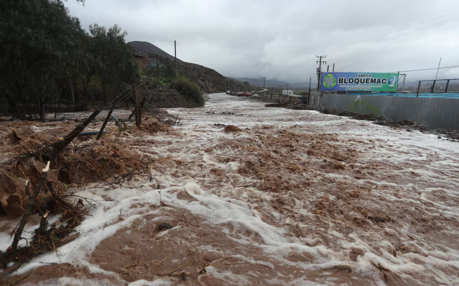 Imagen Noticia