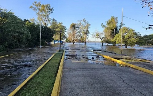 Imagen Noticia