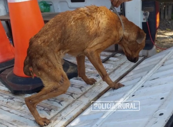 Imagen Noticia