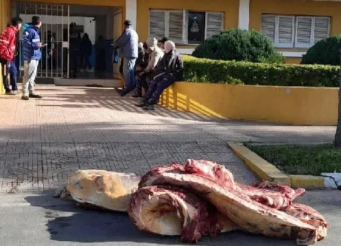 Imagen Noticia