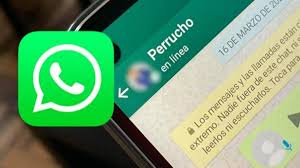 Imagen Noticia